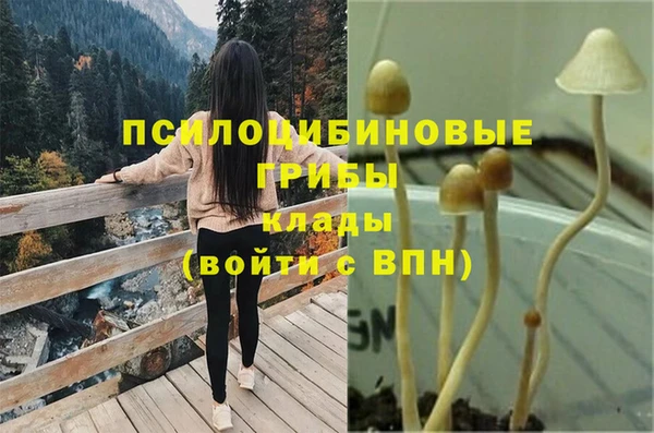 mdpv Михайлов