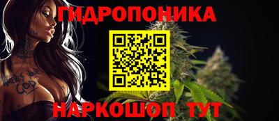 прущие грибы Балашиха