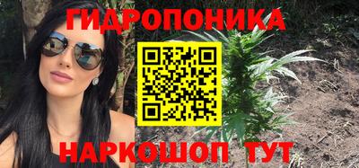 прущие грибы Балашиха