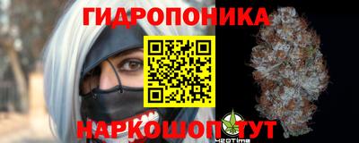 прущие грибы Балашиха