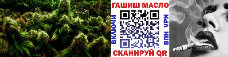 ОМГ ОМГ ONION Шуя ТГК вейп