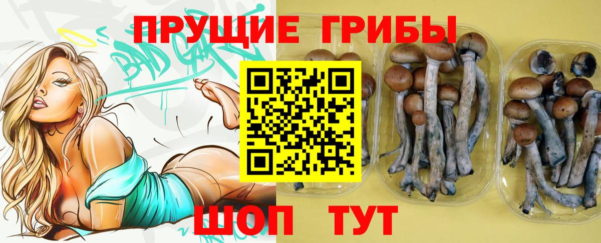 Псилоцибиновые грибы Magic Shrooms Шуя