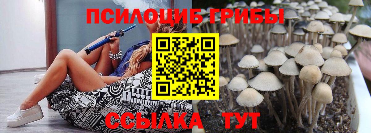Шуя  наркота  Вход с VPN  Псилоцибиновые грибы MAGIC MUSHROOMS 