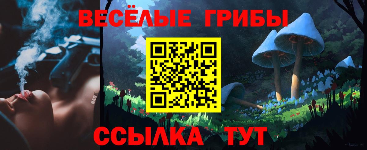 Псилоцибиновые грибы Cubensis  Шуя  Псилоцибиновые грибы MAGIC MUSHROOMS 