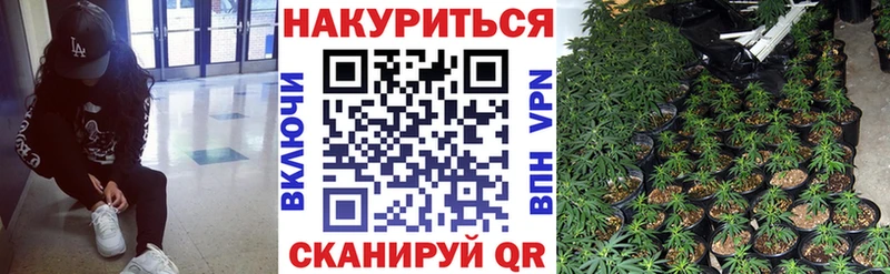 Канабис White Widow  купить наркотики сайты  Шуя 